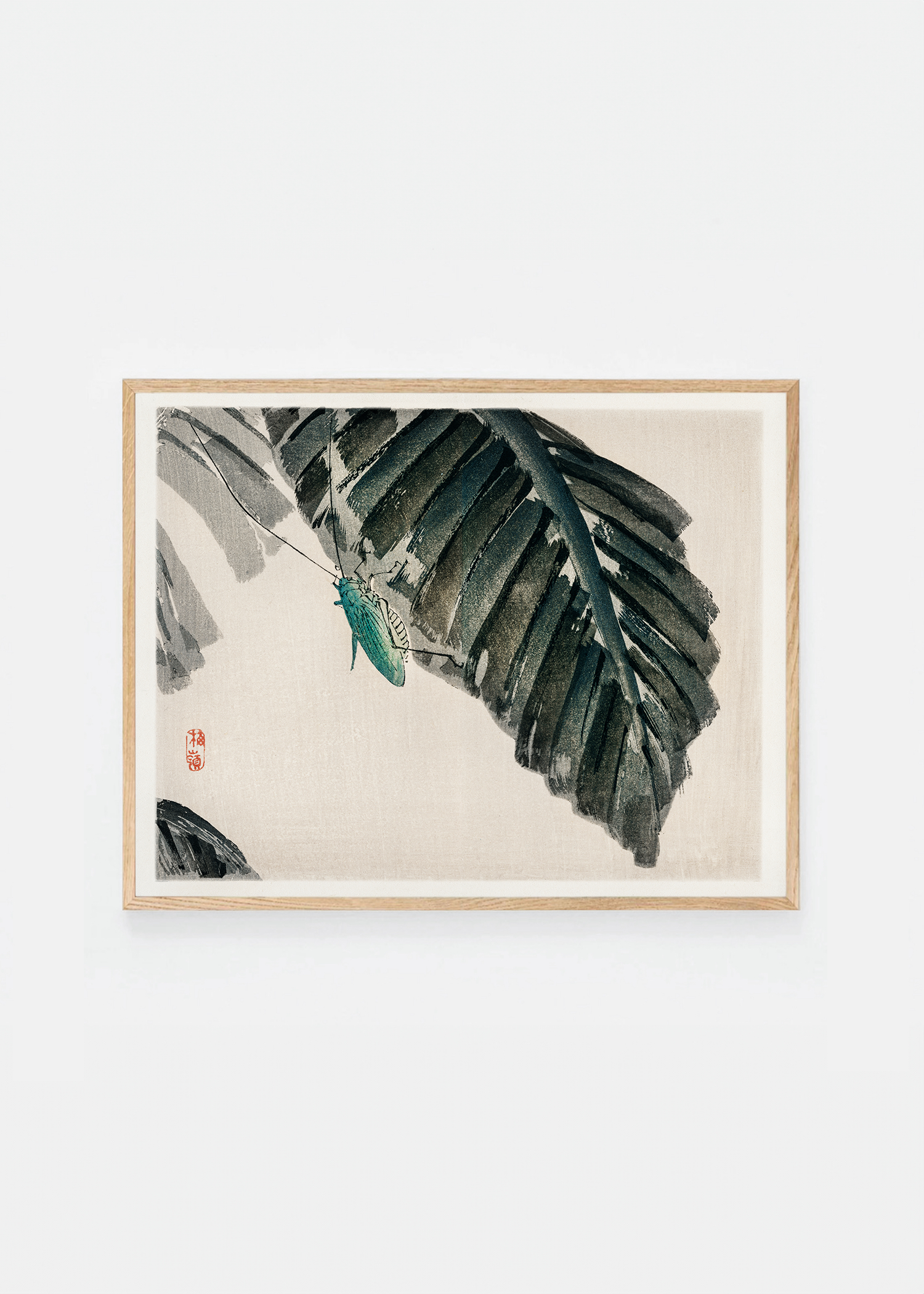 Insect
