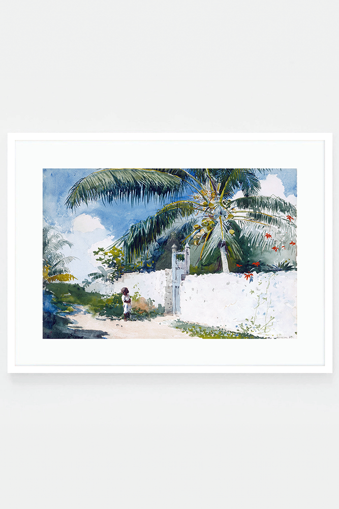 A garden in Nassau