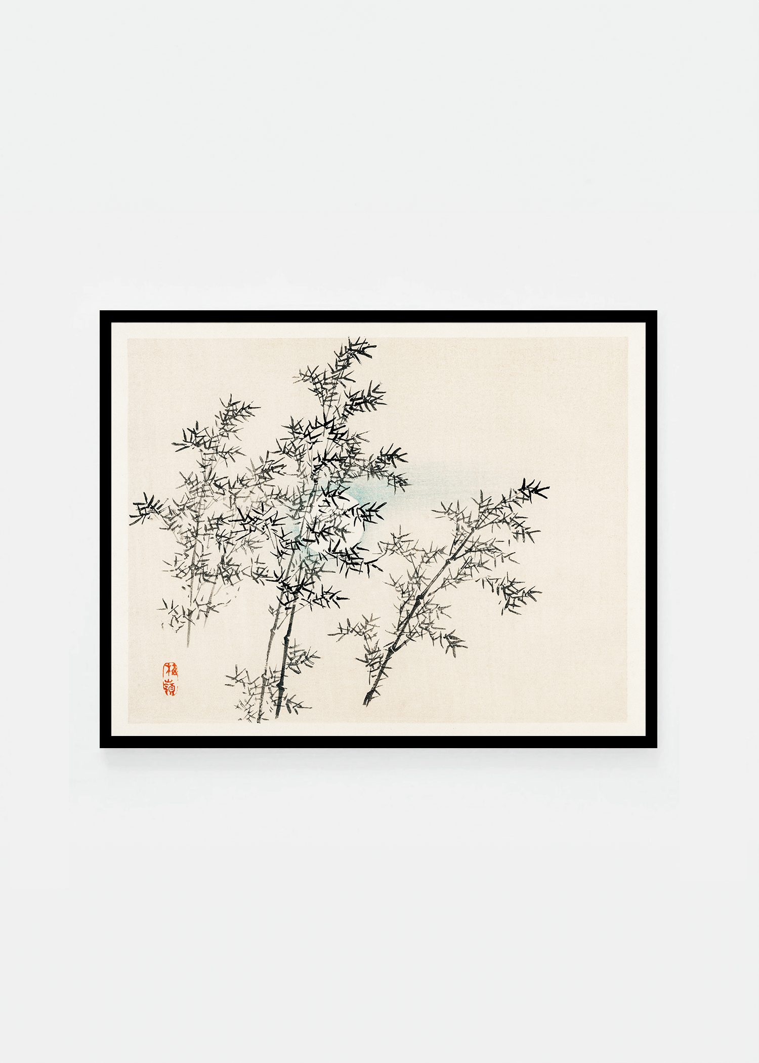 Bamboo