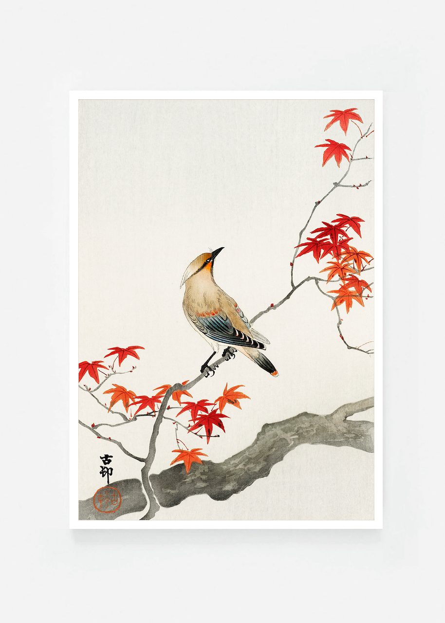Bird on maple tree