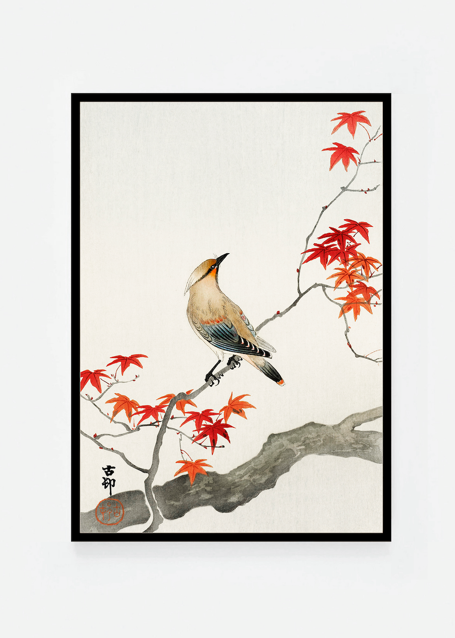 Bird on maple tree