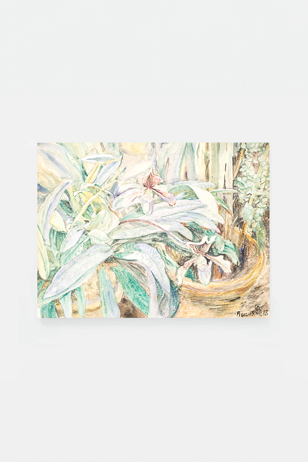 Botanical garden, Pisa