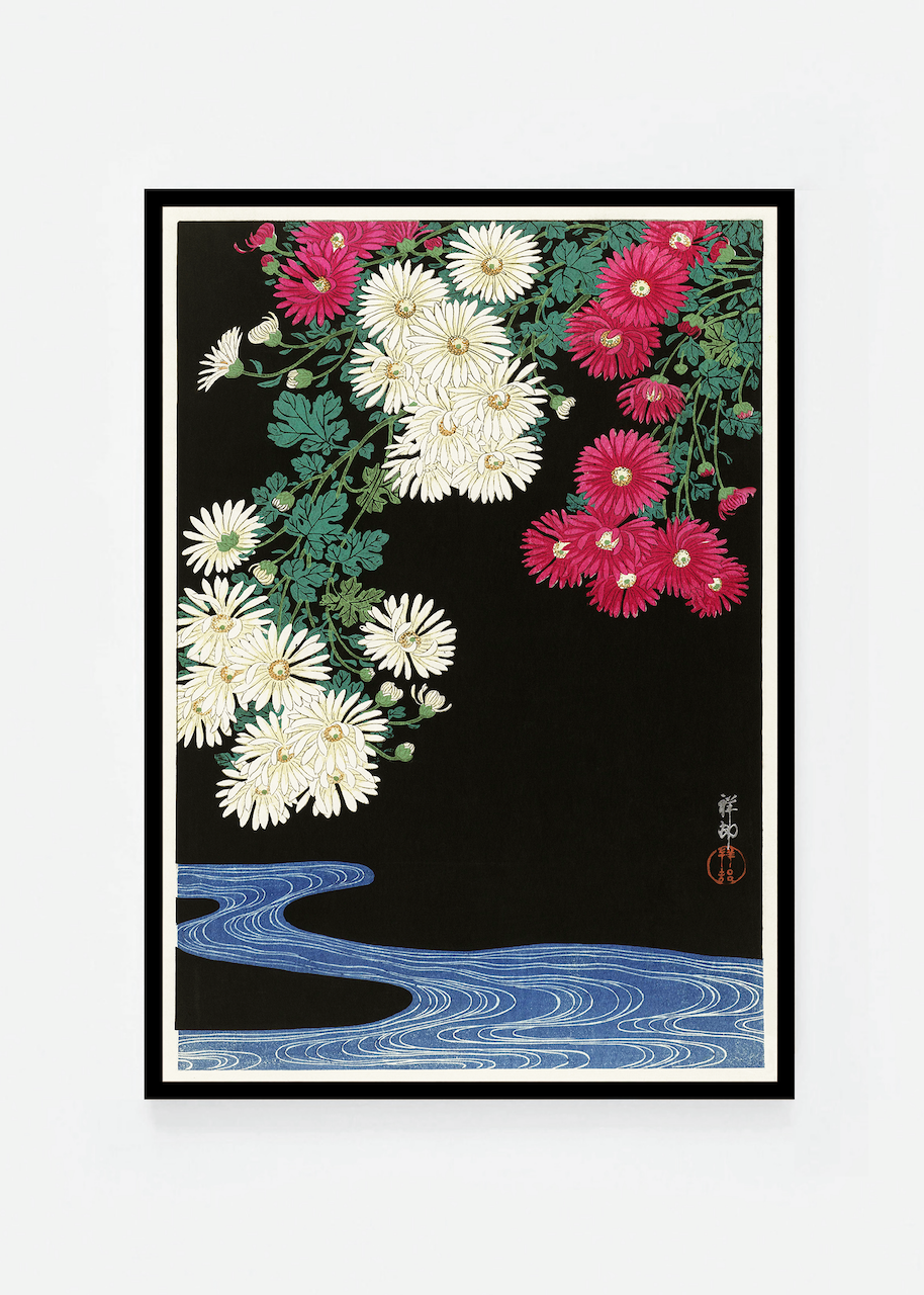 Chrysanthemums