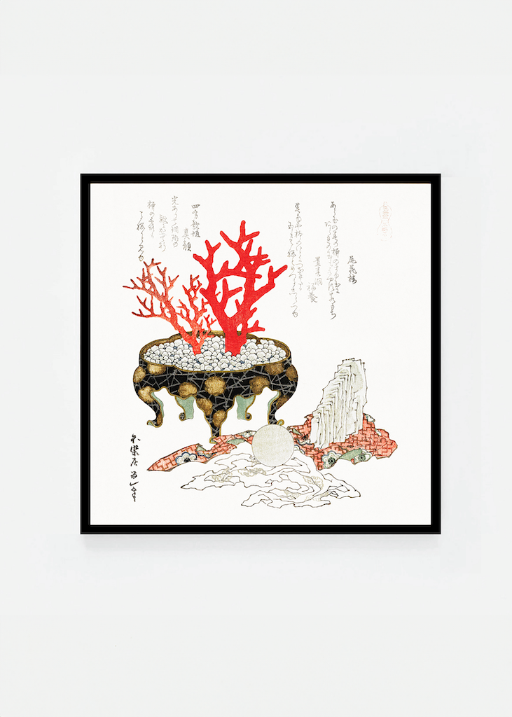 Coral branch
