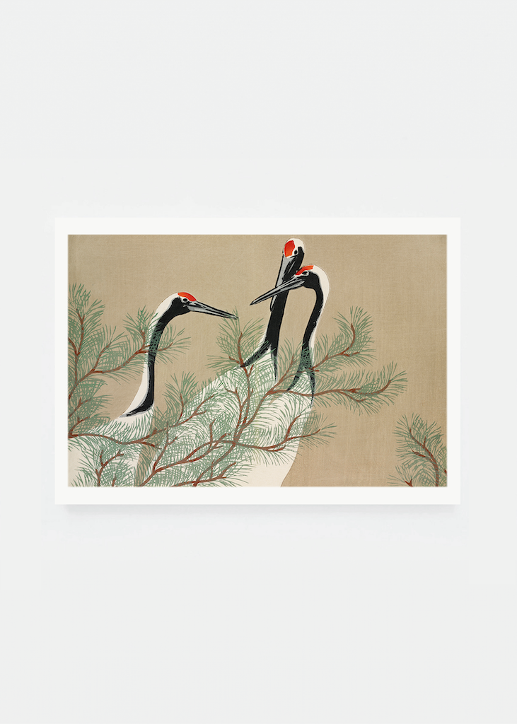 Trois grues