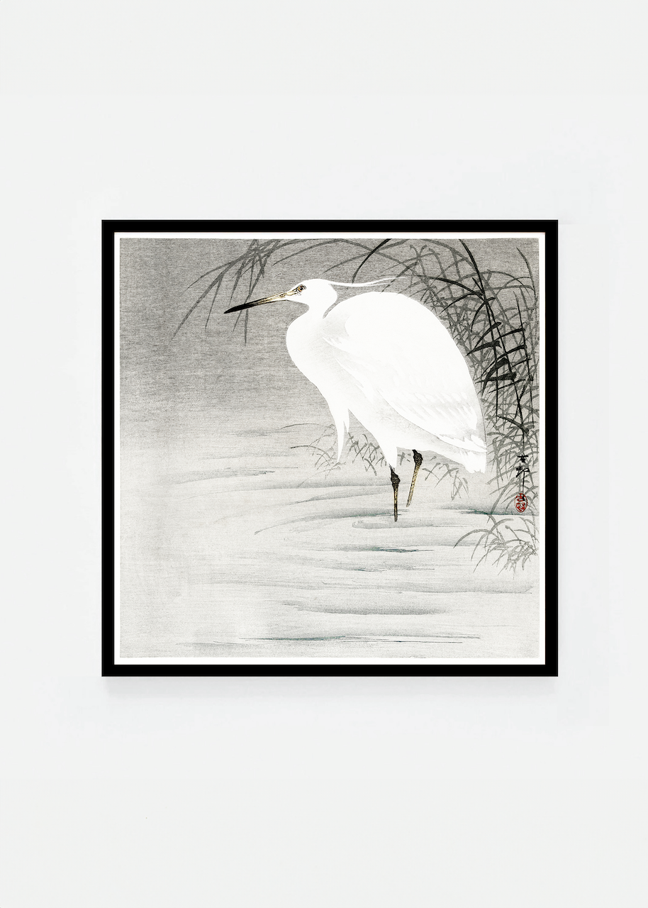 Egret II