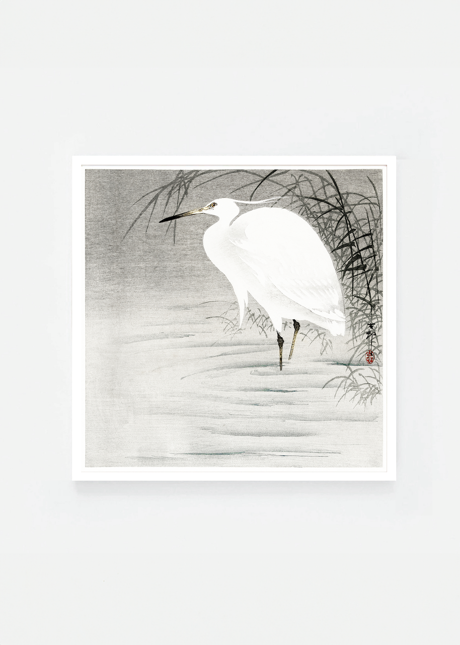 Egret II