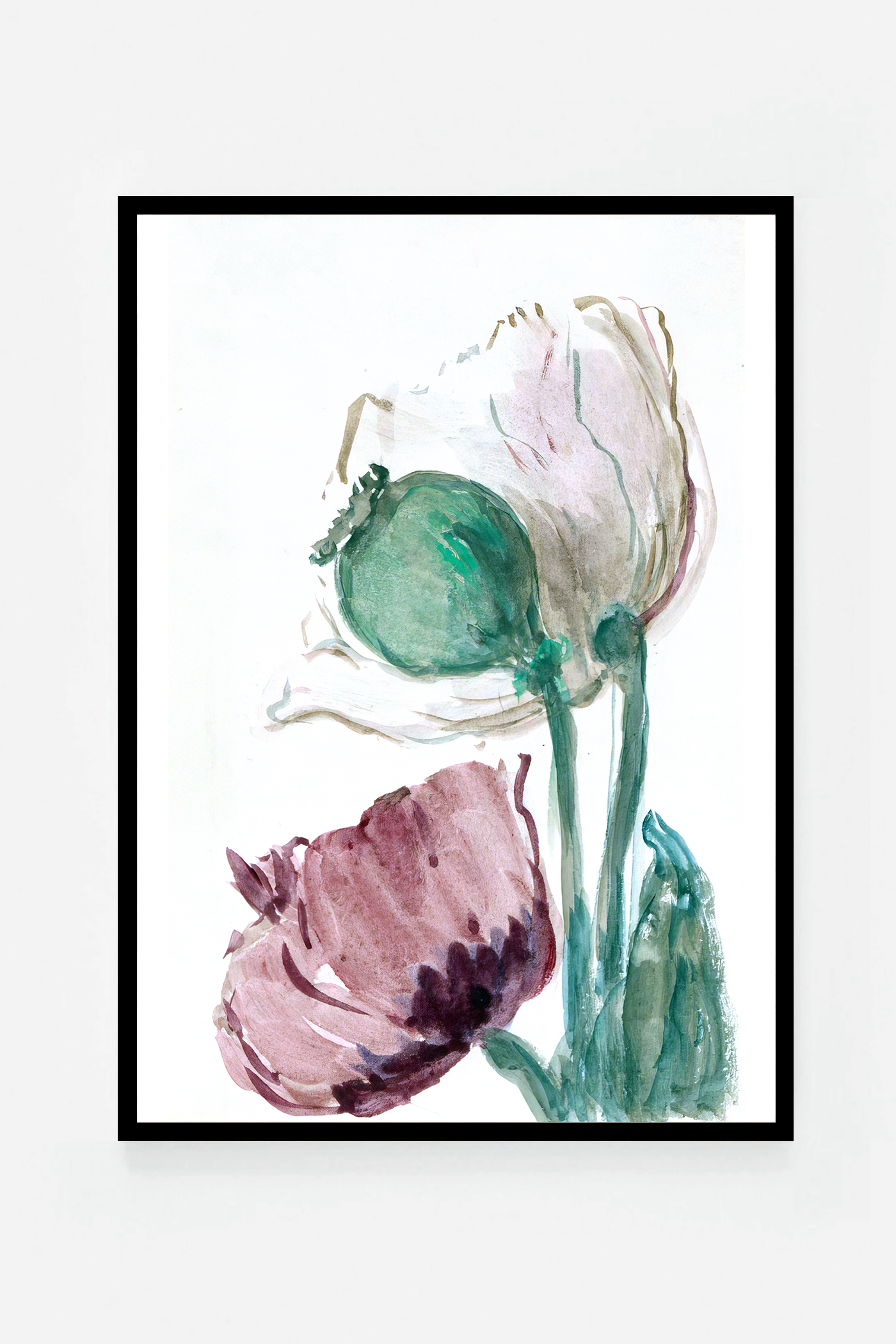 Rose III