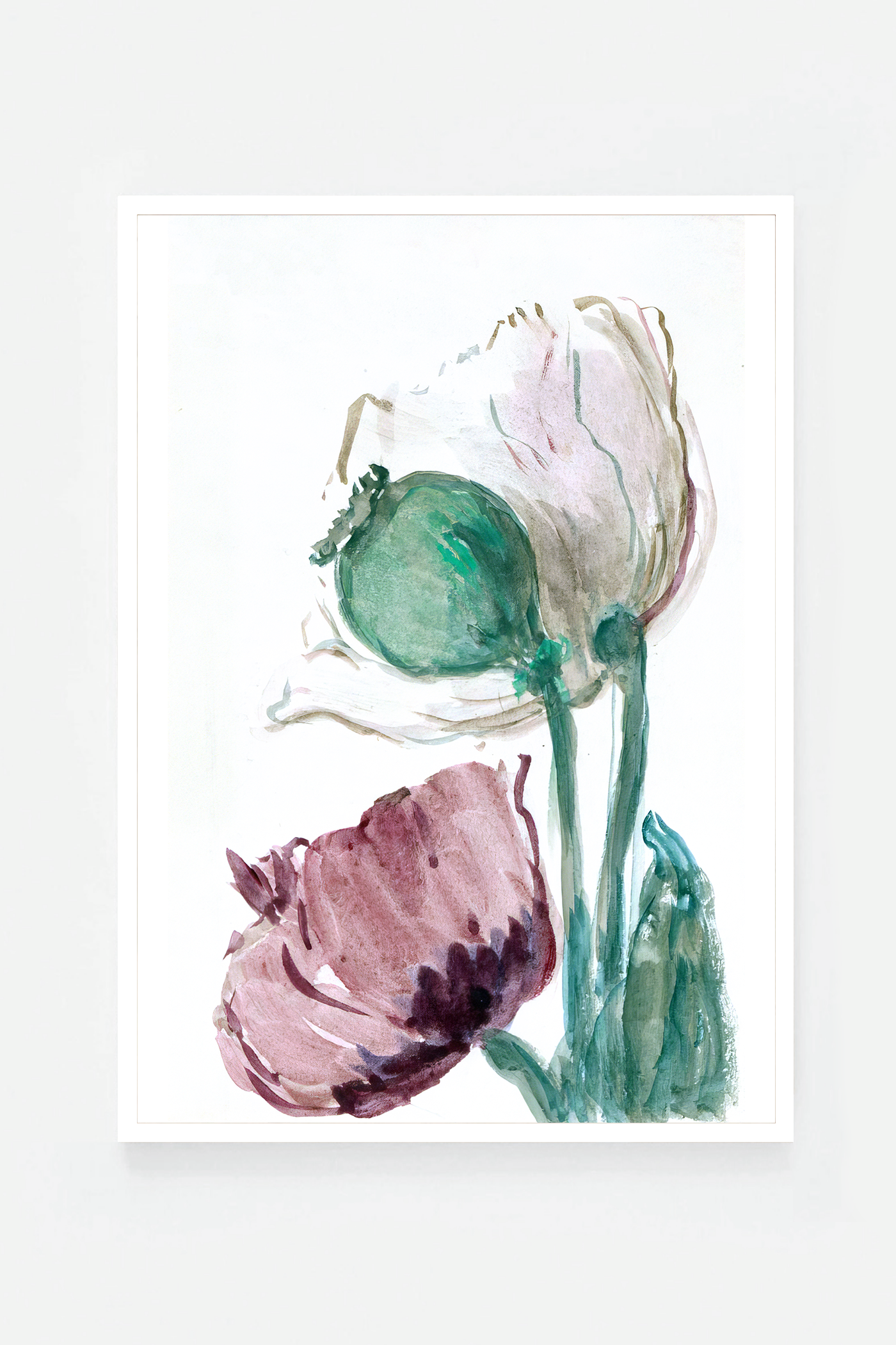 Rose III