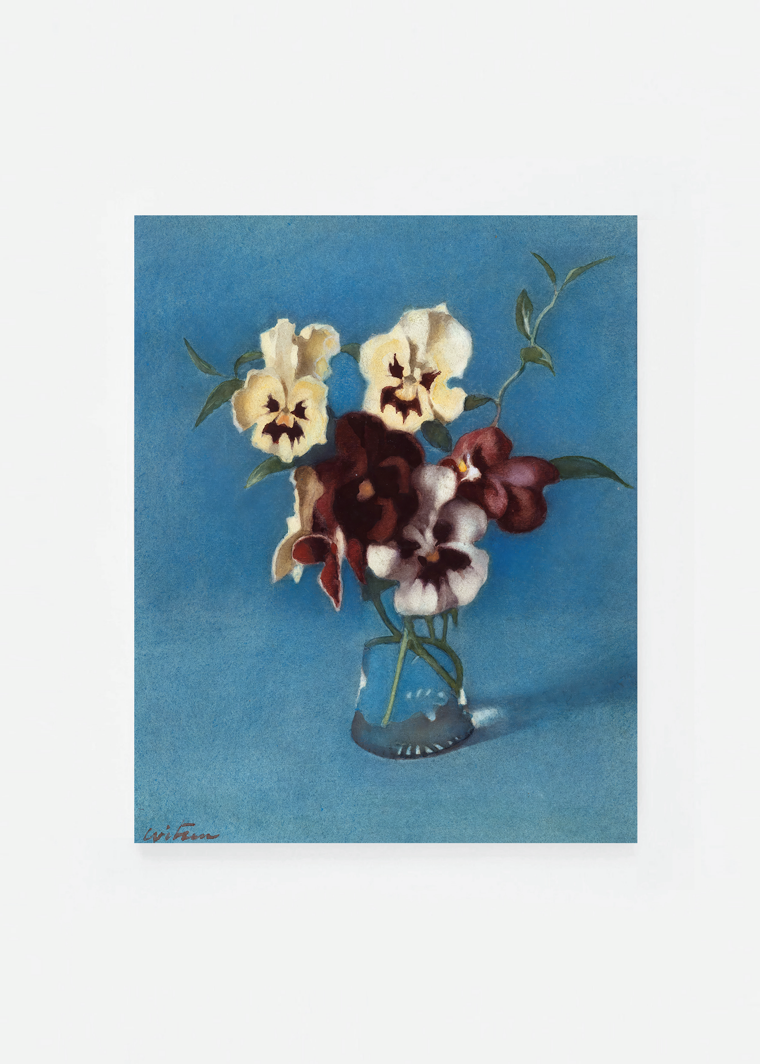 Flower still life