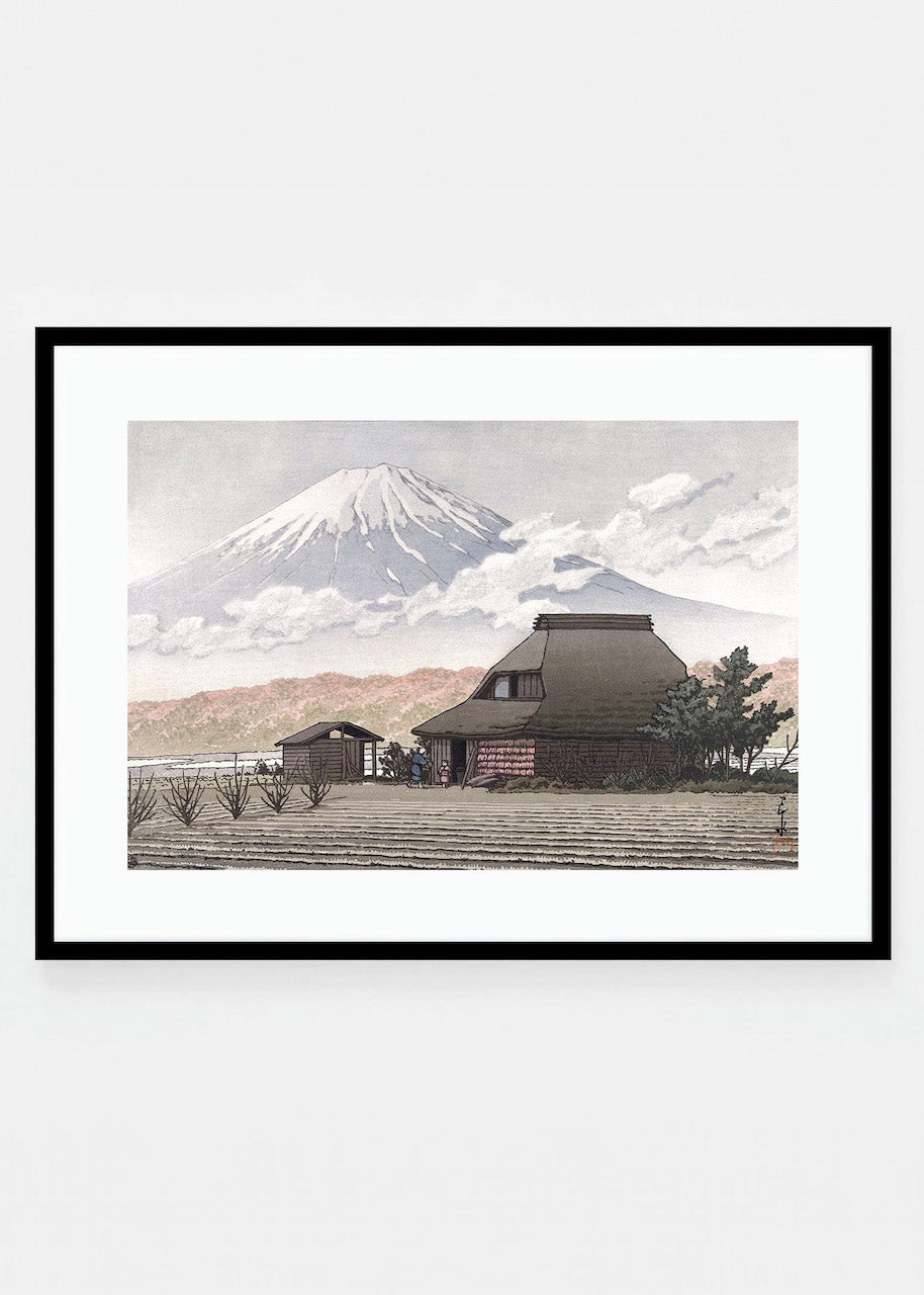 Fuji from Narusawa village