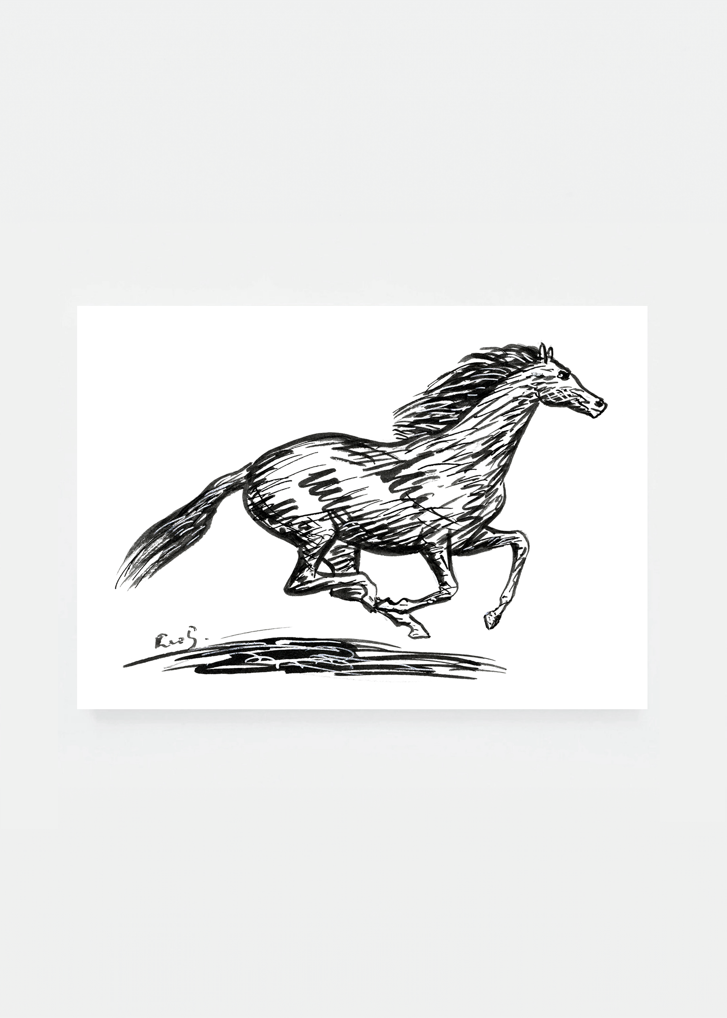 Cheval au galop