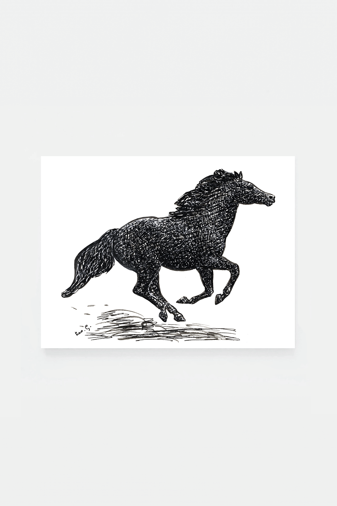 Horse