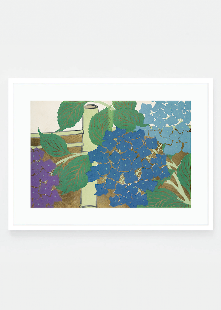 Hydrangea