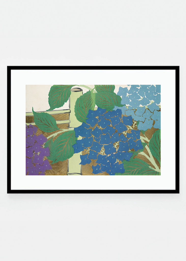 Hydrangea