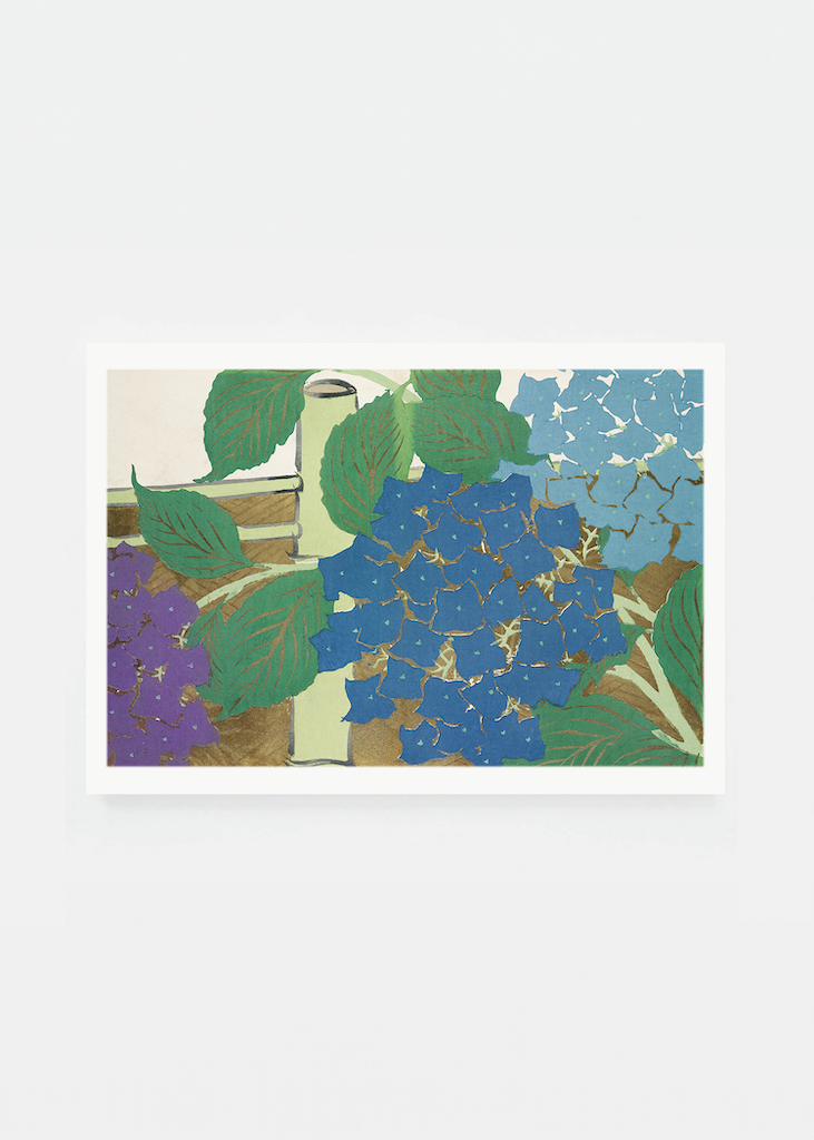 Hydrangea
