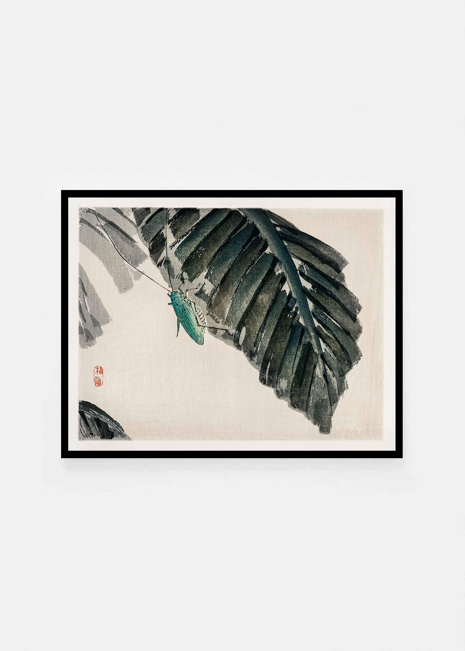 Insecte sur les feuilles