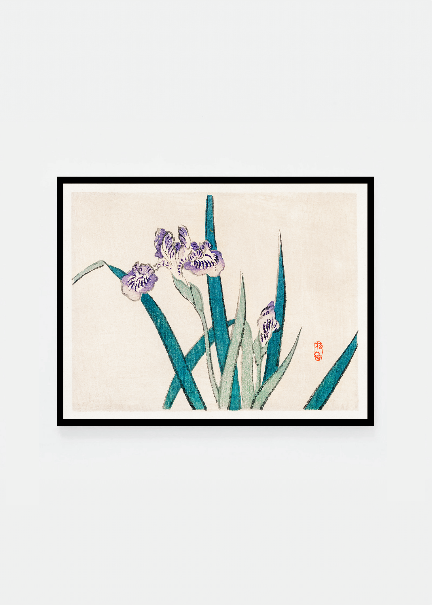 Iris