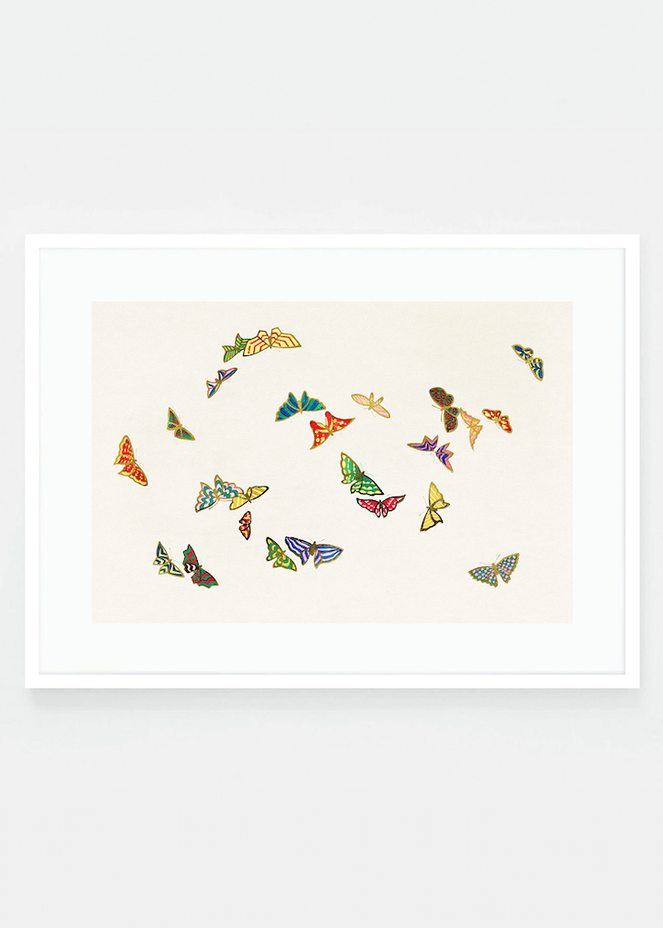 Japanese butterflies II