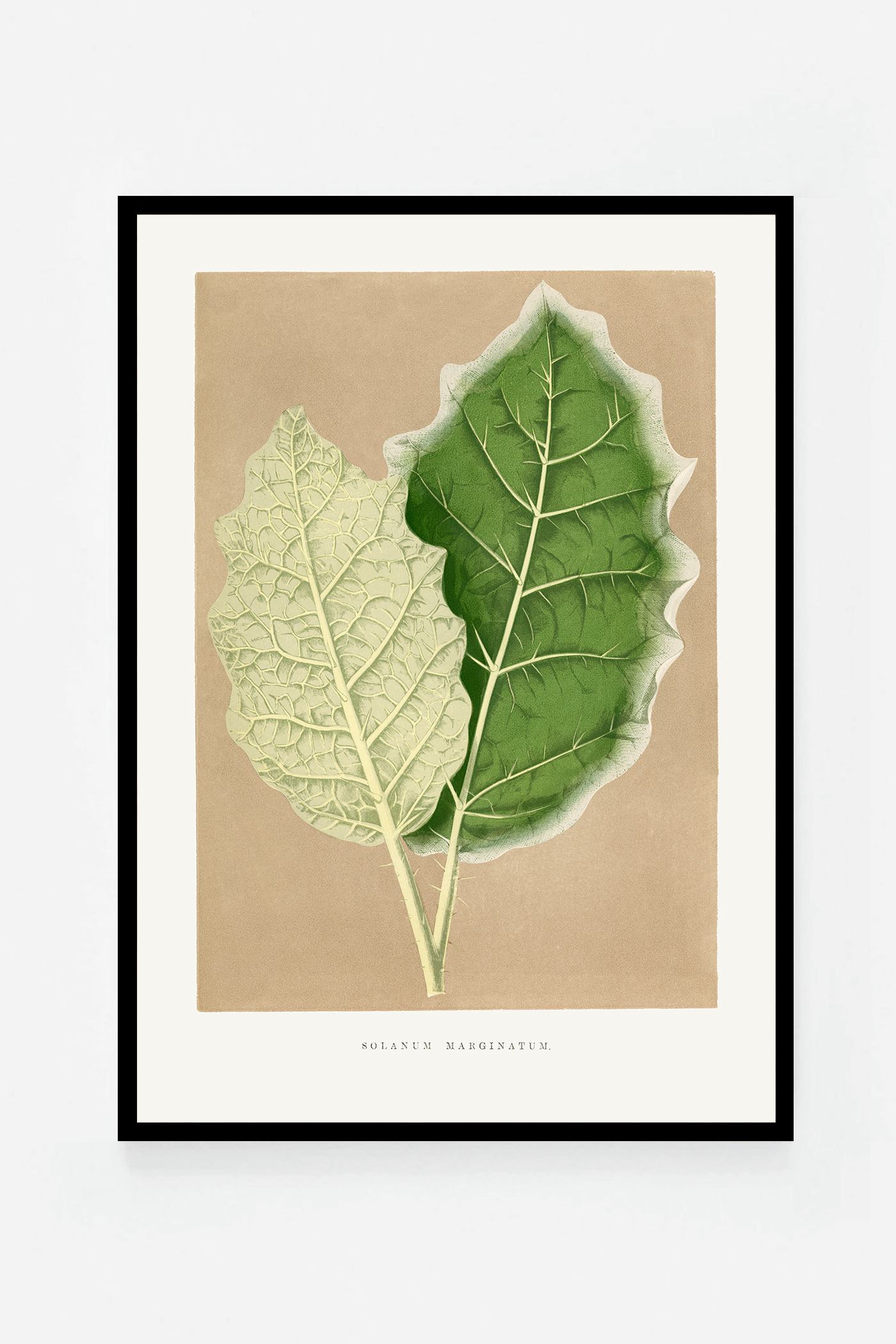 Leaf I
