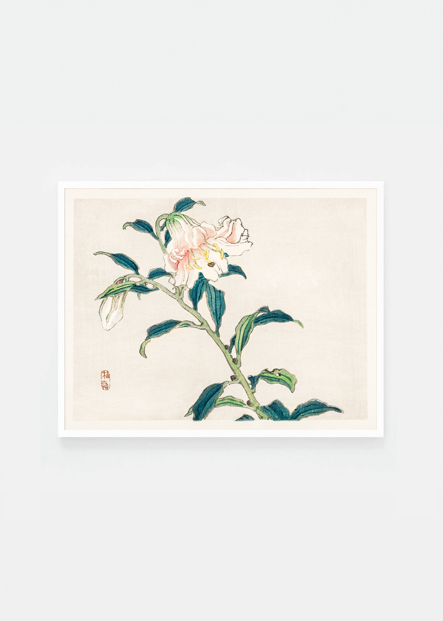 Lily