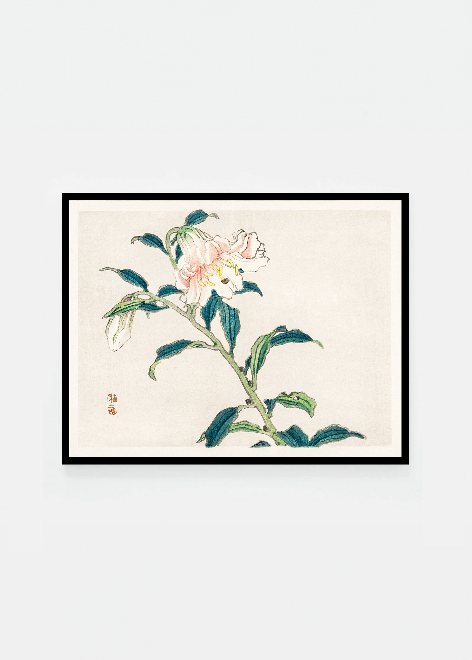 Lily