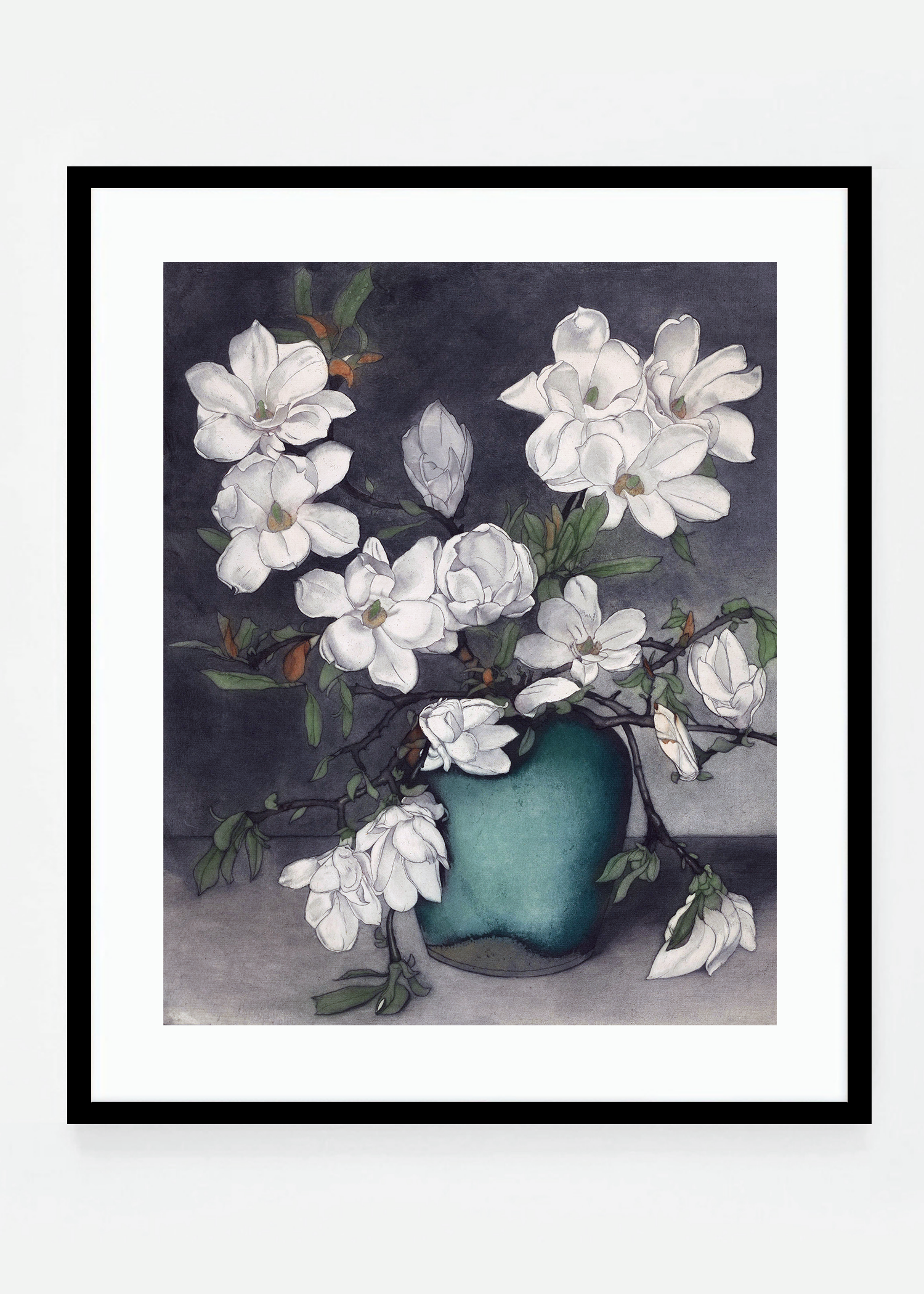 Magnolia