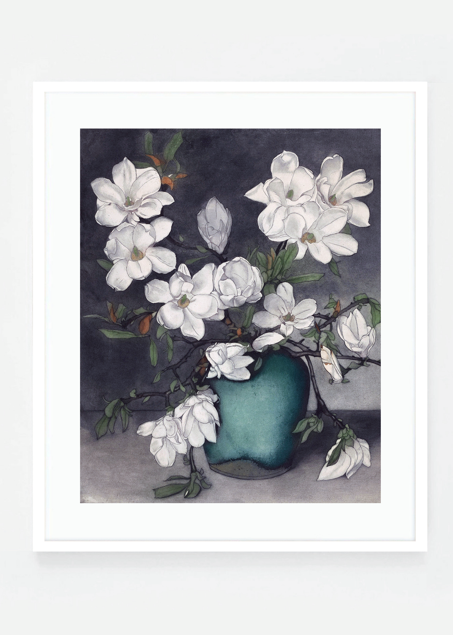 Magnolia