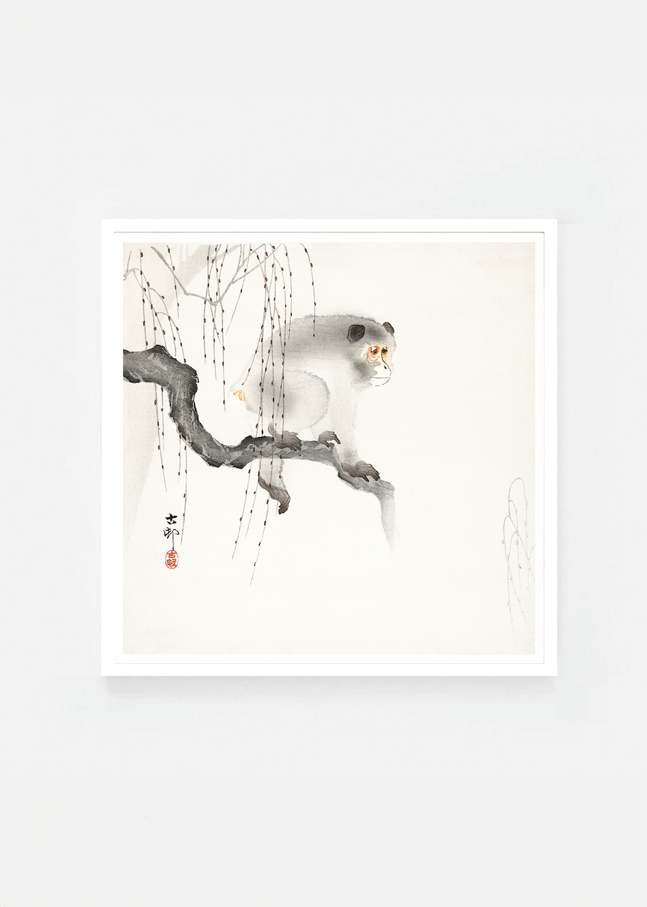 Monkey on a tree