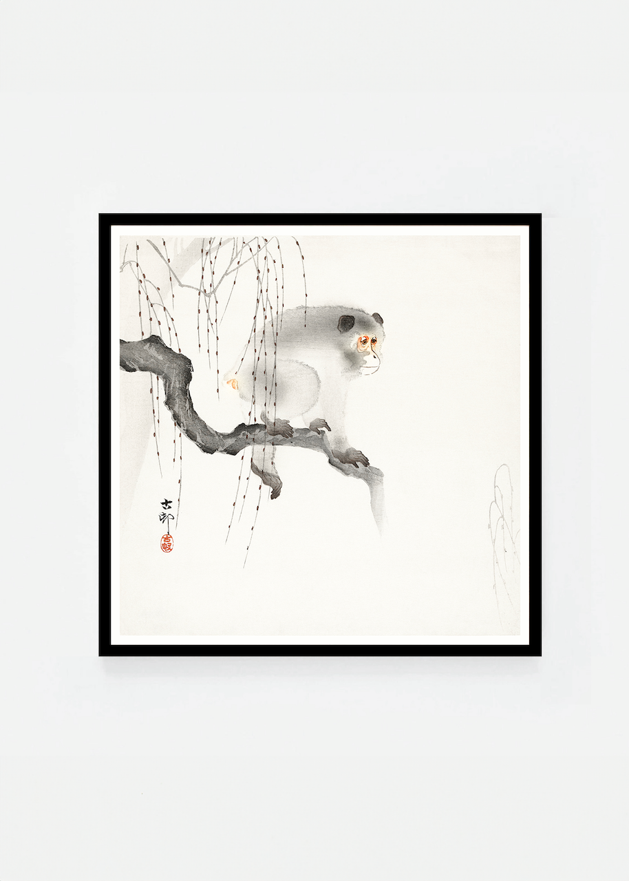 Monkey on a tree