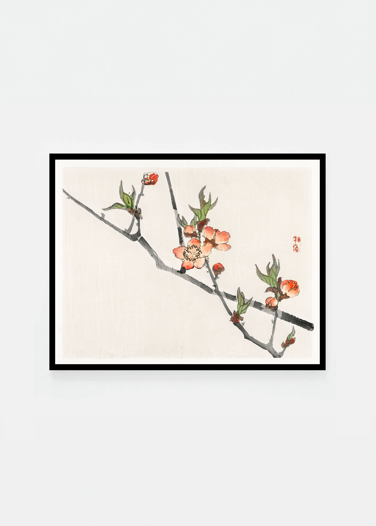 Peach blossom