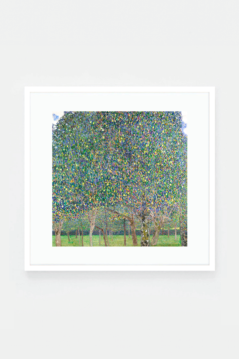 Pear Tree