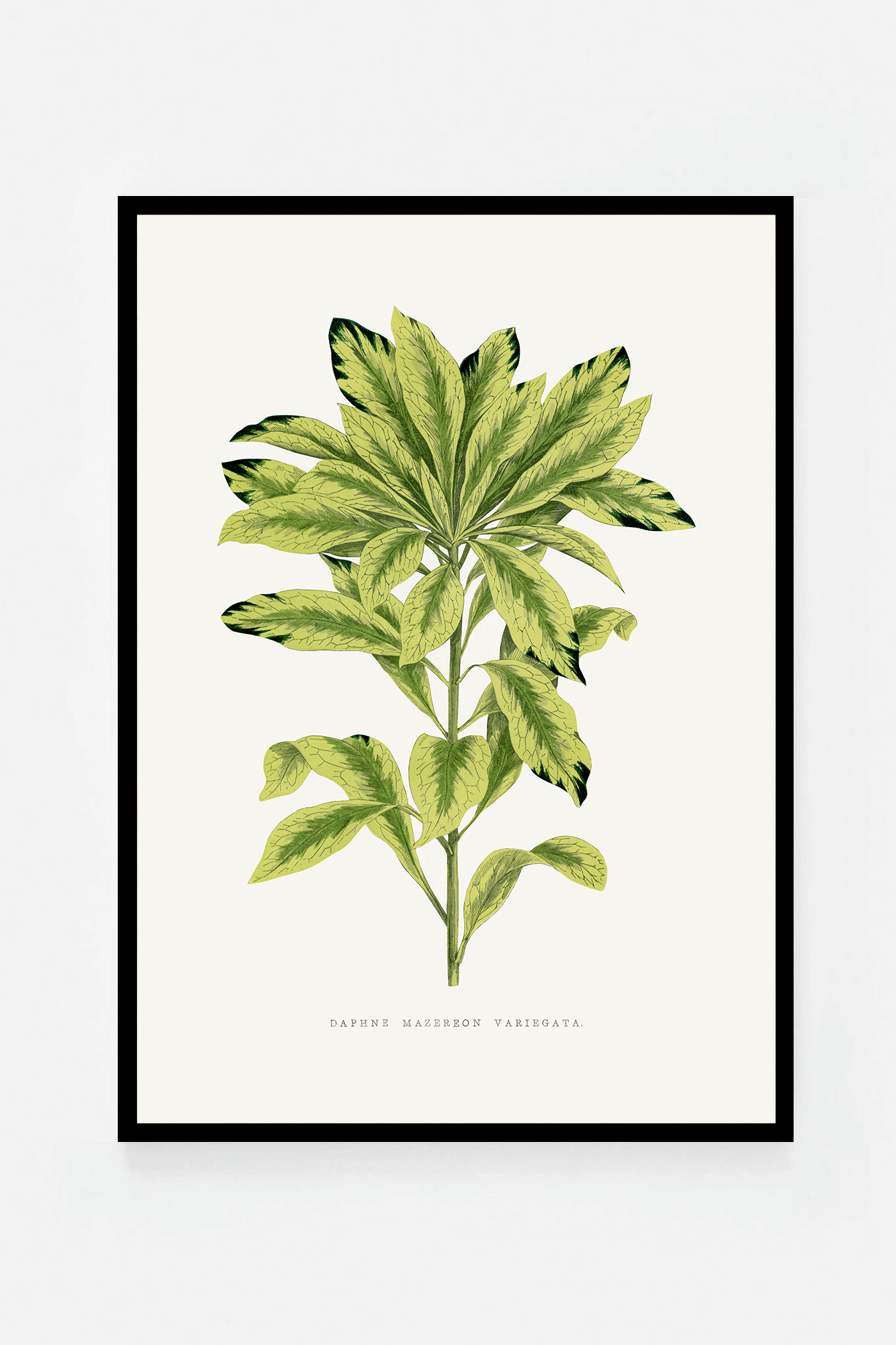 Plant I