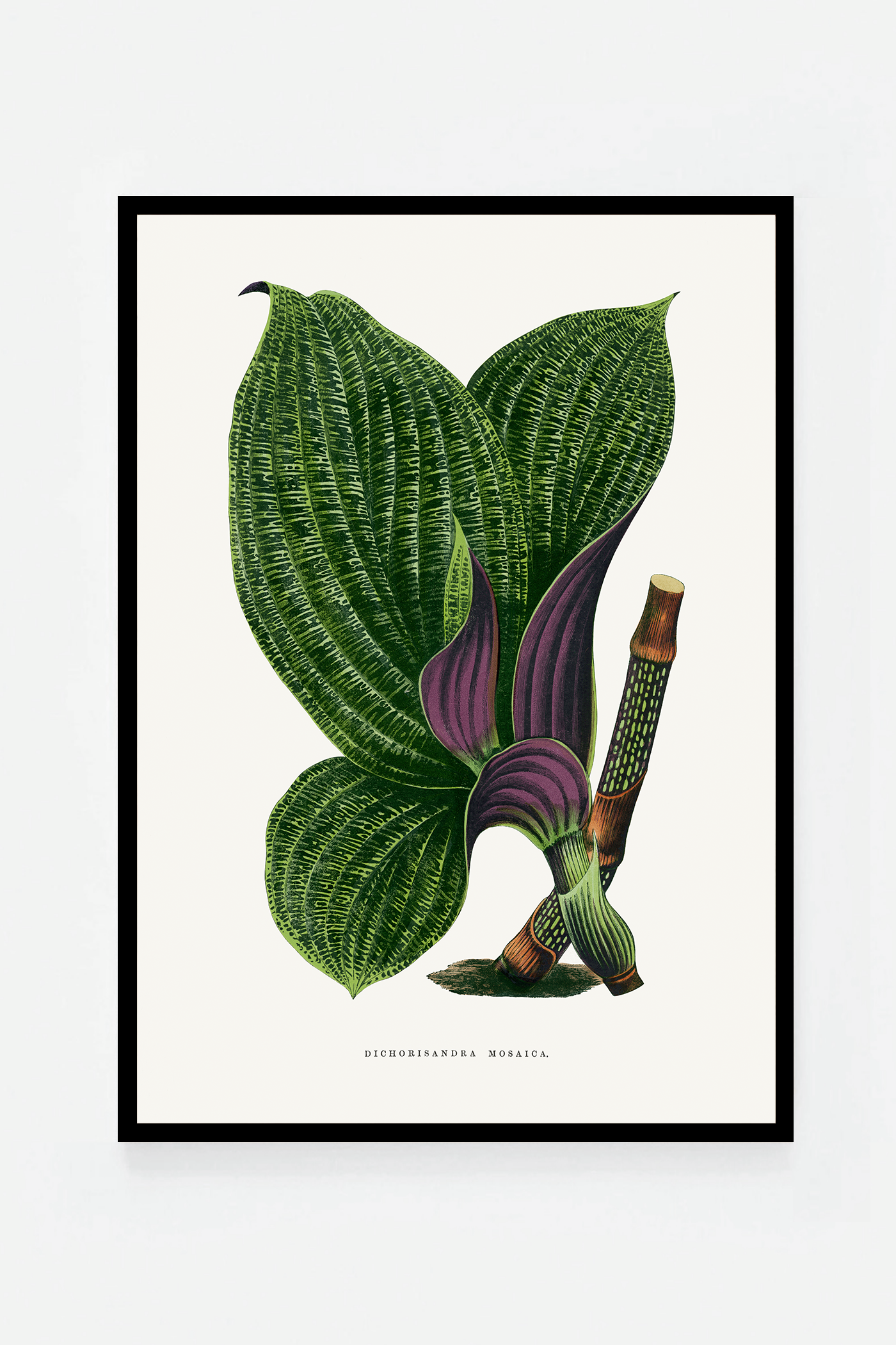Plant IX