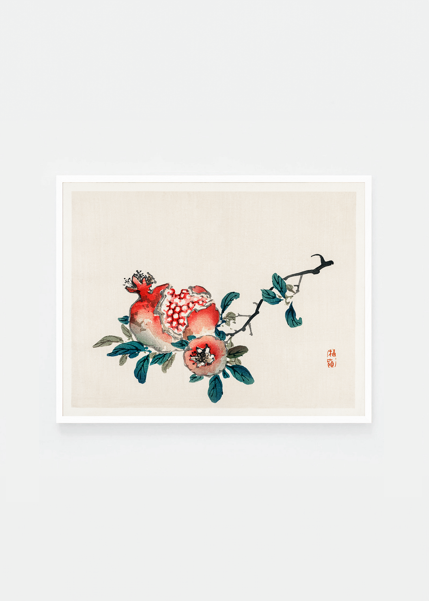 Pomegranate