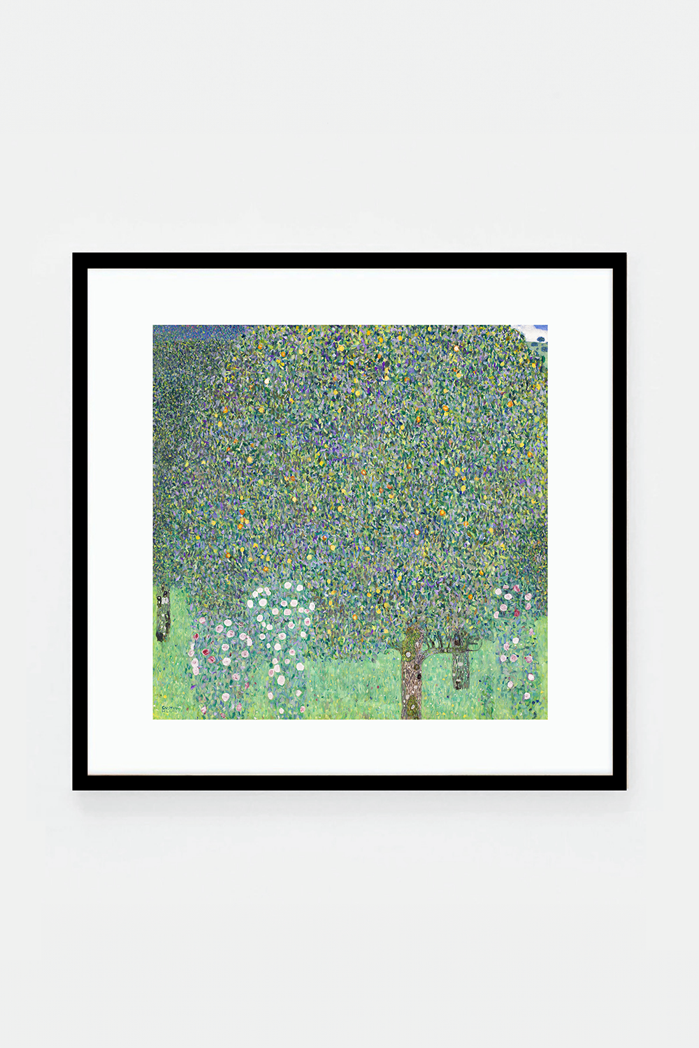 Rosebushes under the Trees