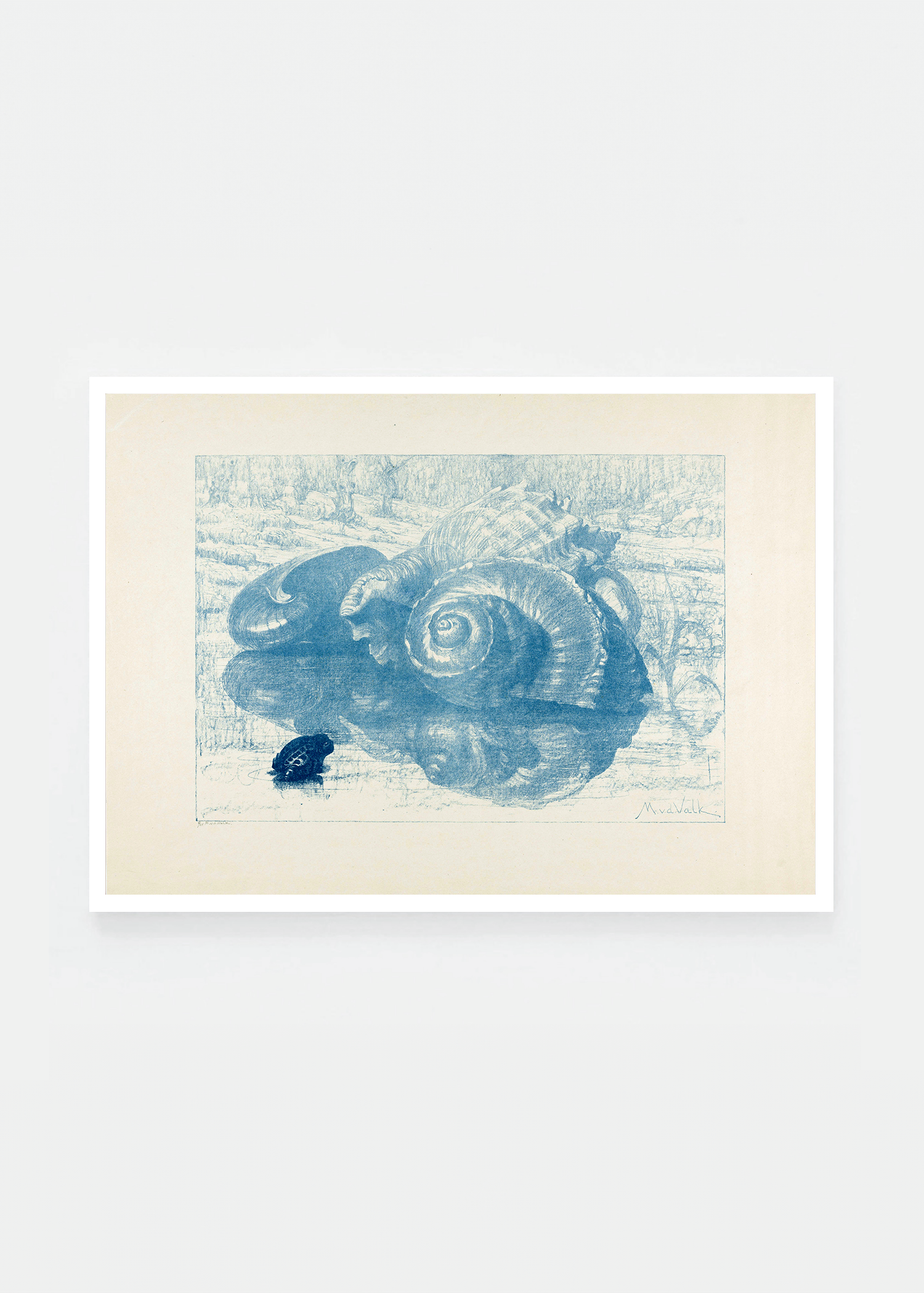 Shell III