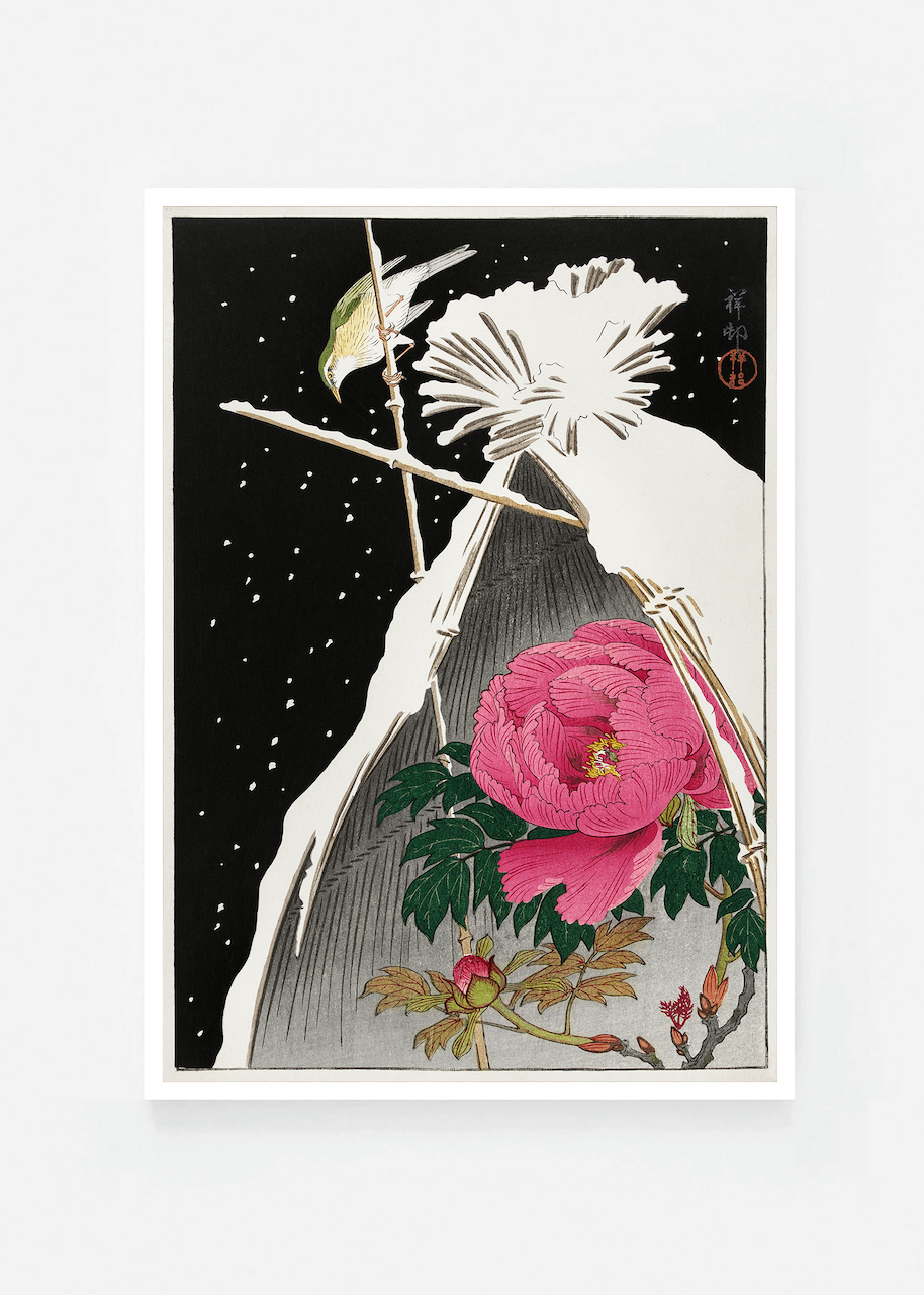 Siberian bluechat next to a peony in the snow