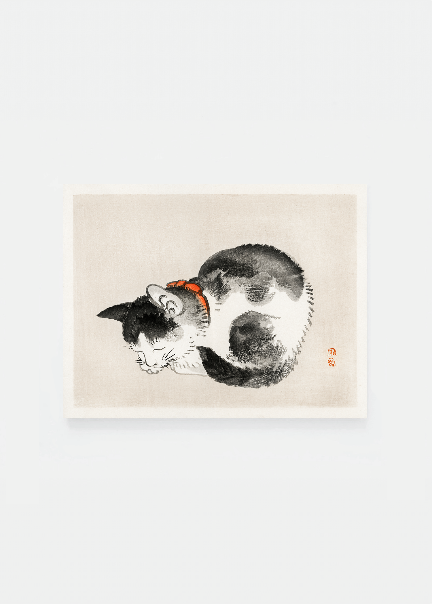Sleeping cat