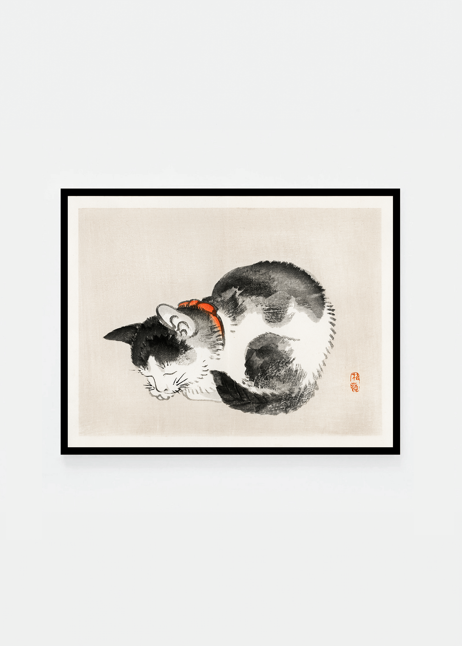 Sleeping cat