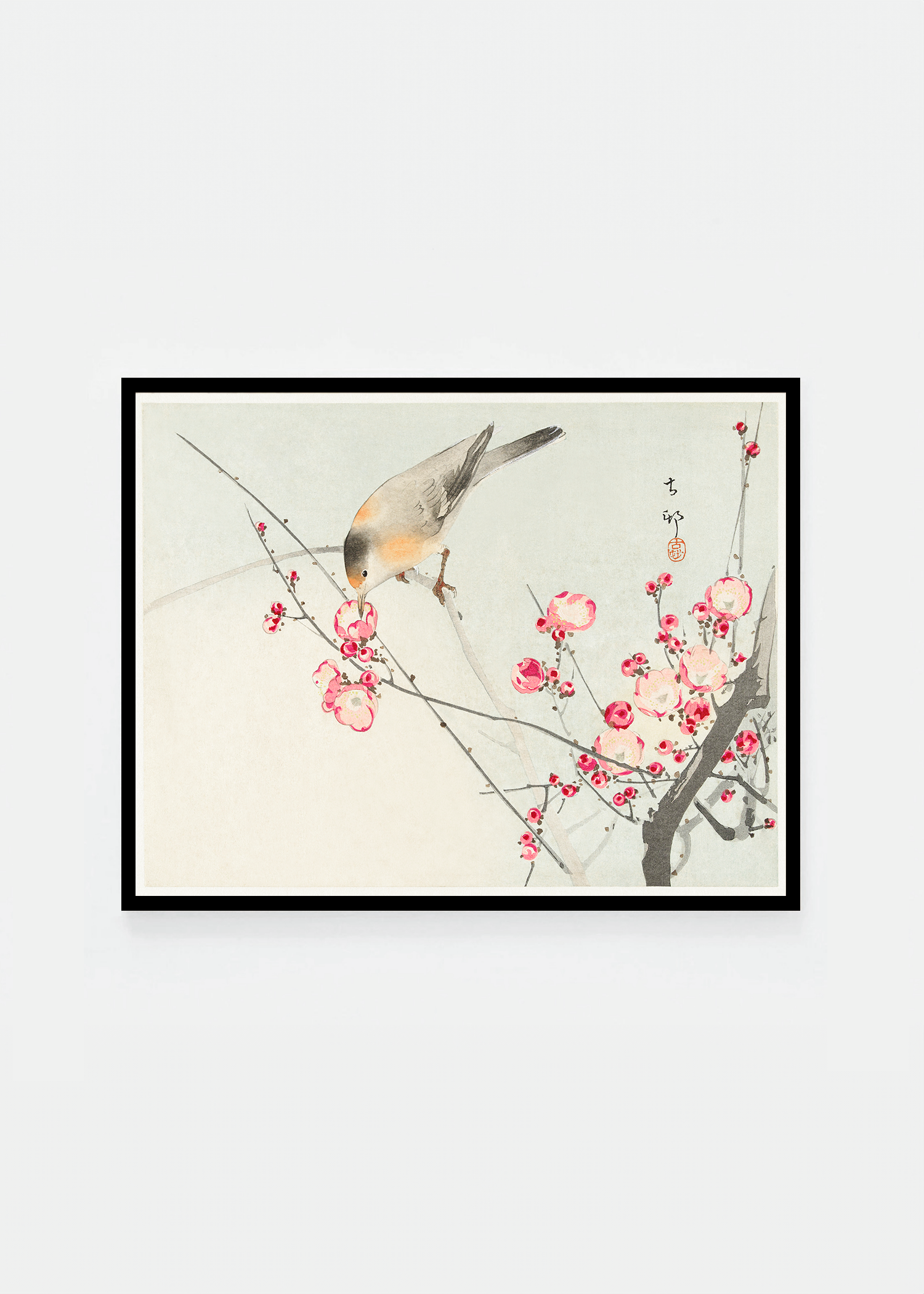 Bird on blossom branch