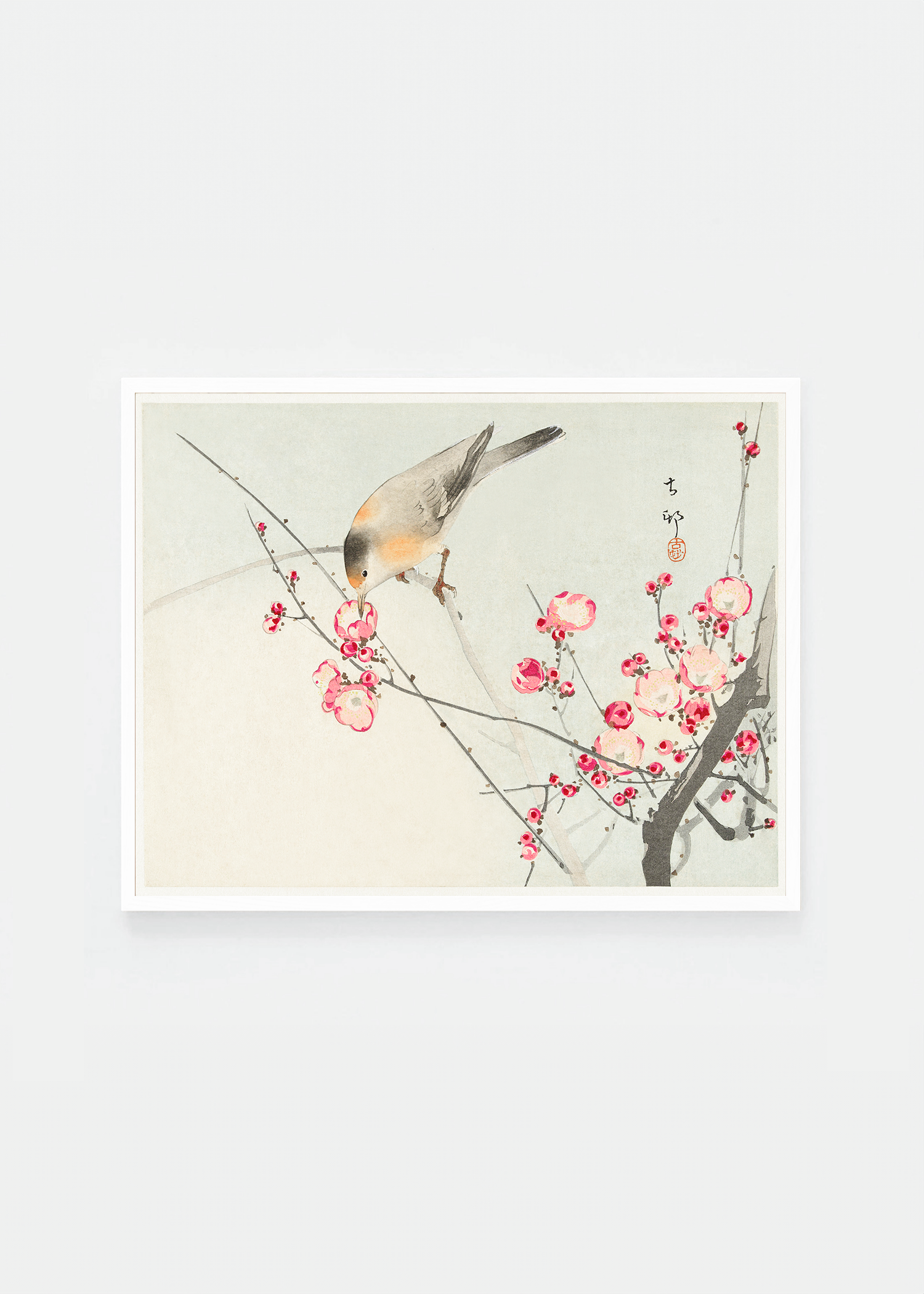 Bird on blossom branch