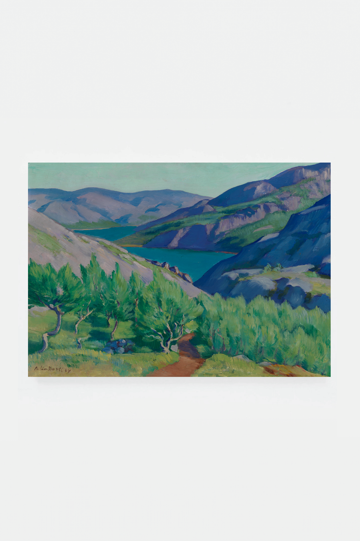 Summer Landscape from Liinahamar