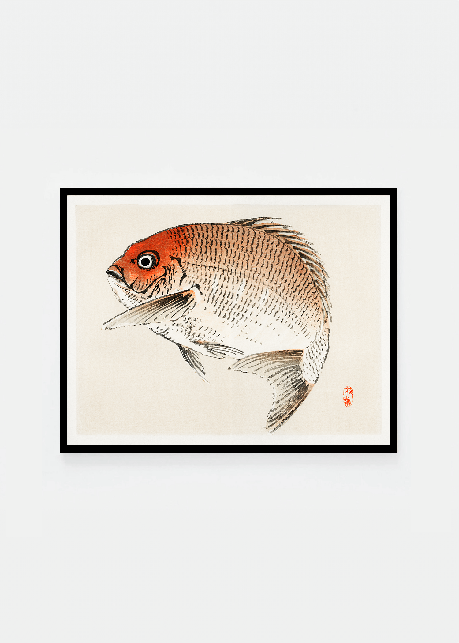 Tai
