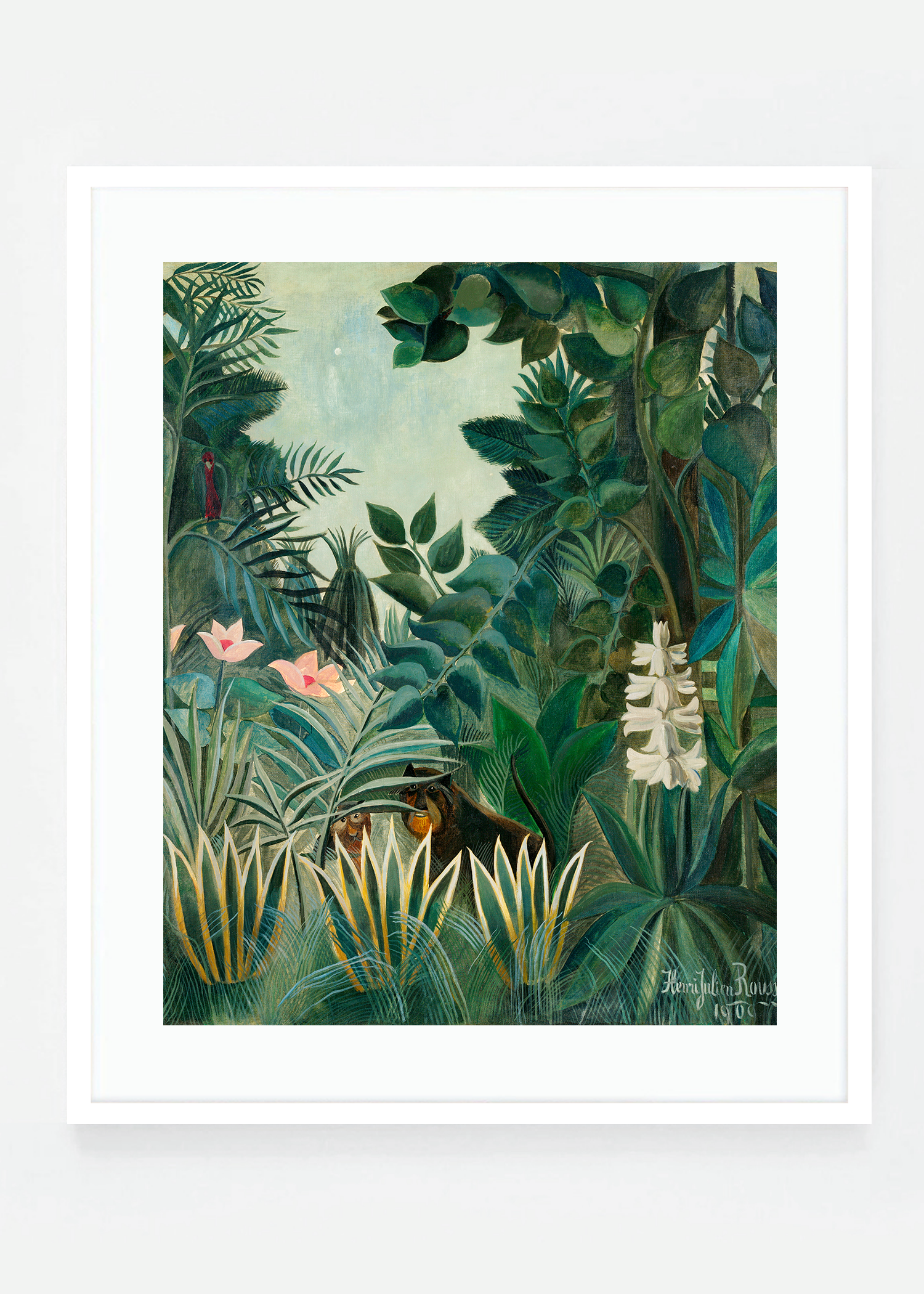 The Equatorial Jungle