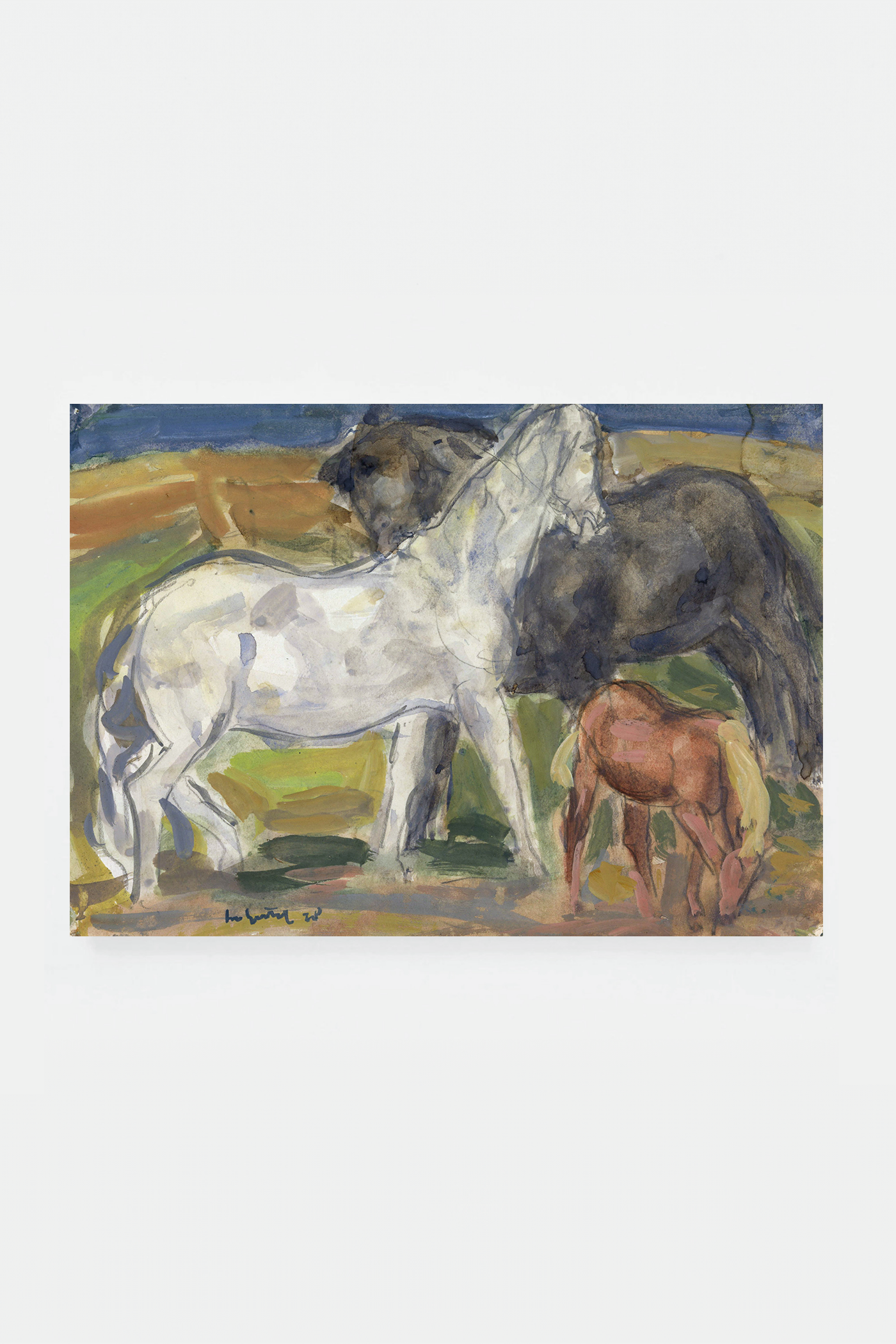 Three horses