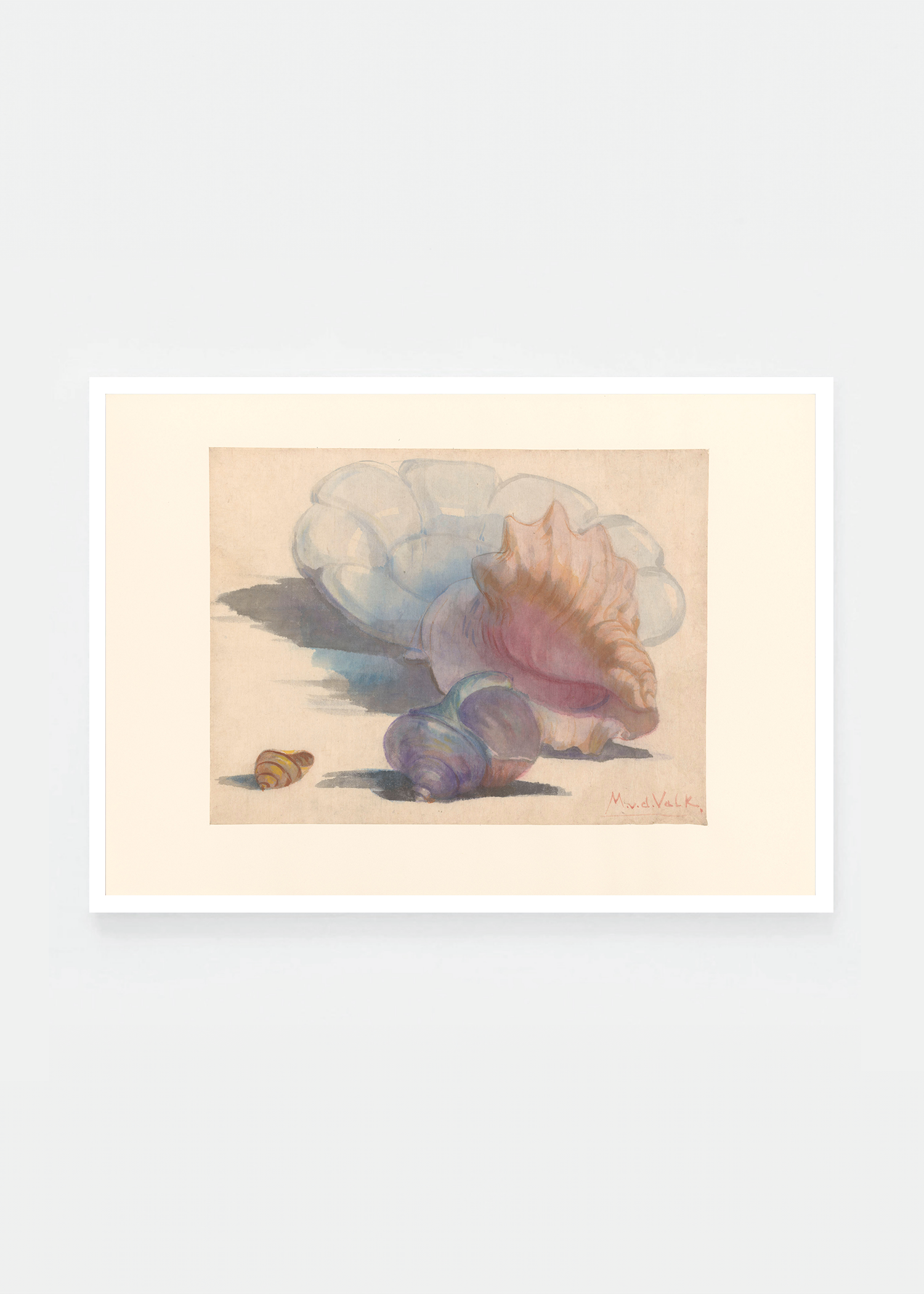 Three shells with a Delft folding dish