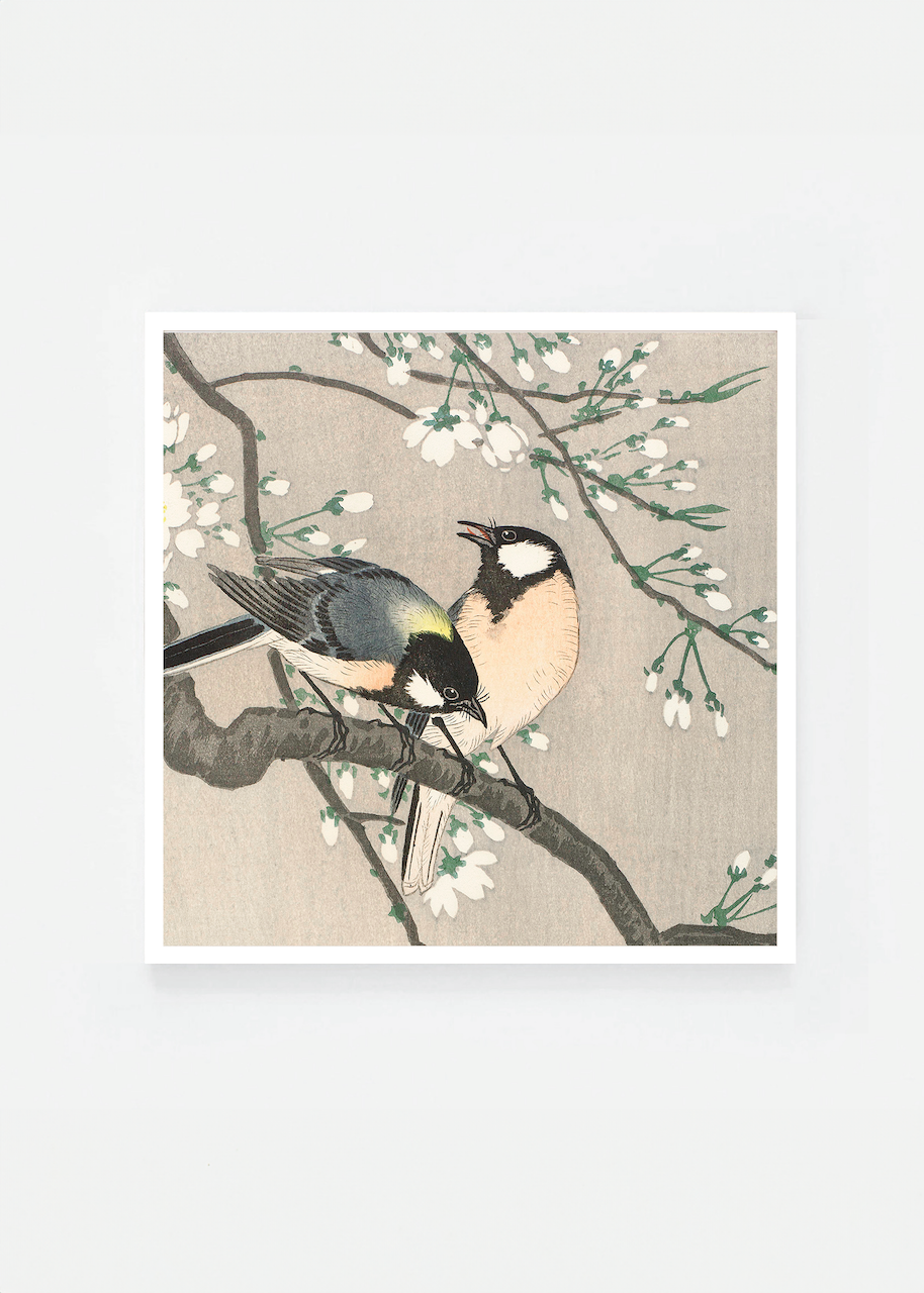 Tits on cherry branch