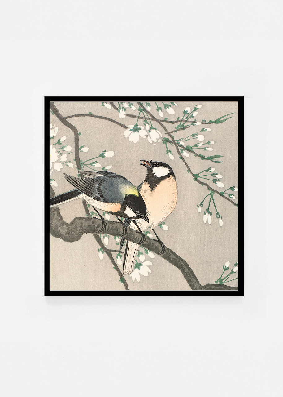 Tits on cherry branch