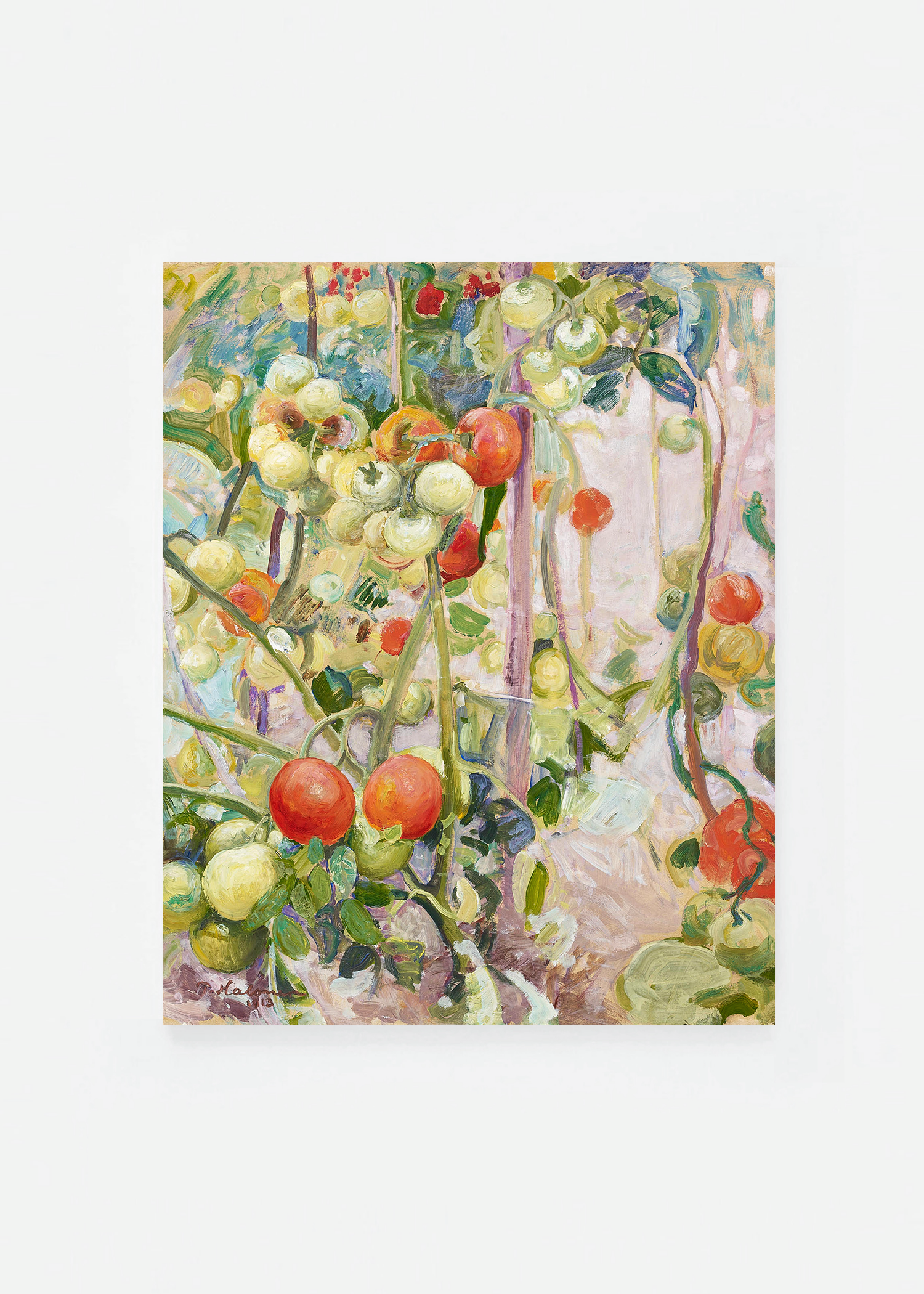 Tomatoes
